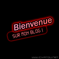bienvenue dans mon blog